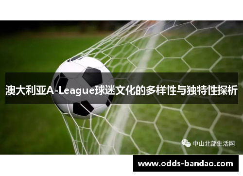 澳大利亚A-League球迷文化的多样性与独特性探析