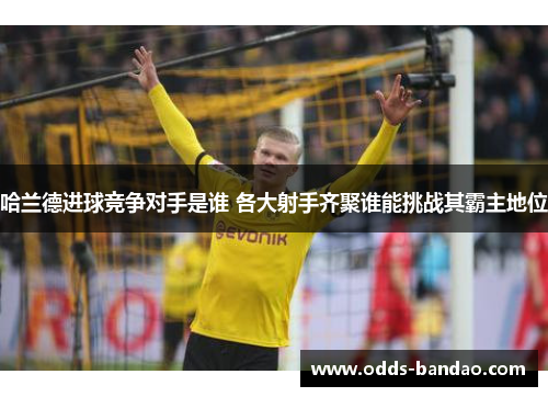 哈兰德进球竞争对手是谁 各大射手齐聚谁能挑战其霸主地位