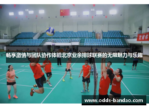 畅享激情与团队协作体验北京业余排球联赛的无限魅力与乐趣