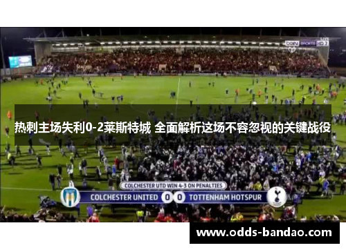 热刺主场失利0-2莱斯特城 全面解析这场不容忽视的关键战役