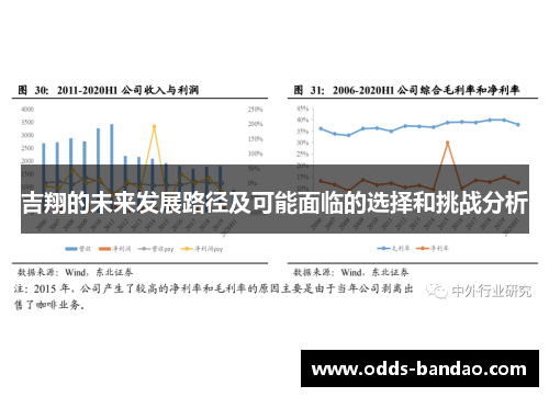 吉翔的未来发展路径及可能面临的选择和挑战分析
