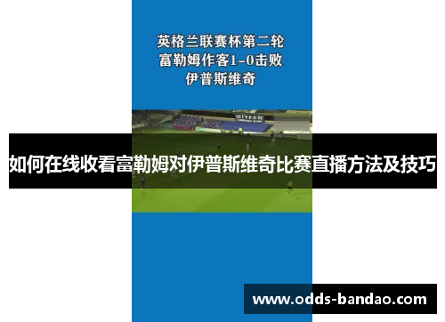 如何在线收看富勒姆对伊普斯维奇比赛直播方法及技巧