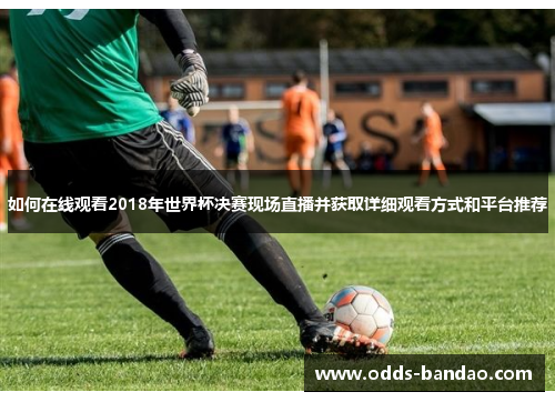 如何在线观看2018年世界杯决赛现场直播并获取详细观看方式和平台推荐